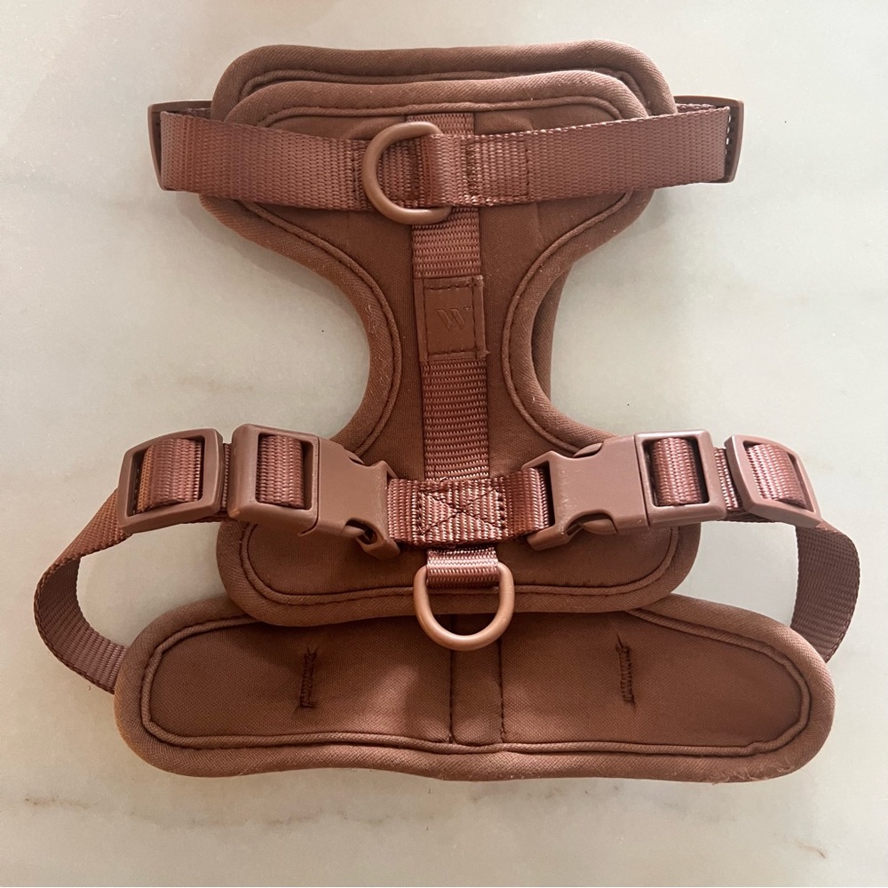 Wild One harness in cocoa size small